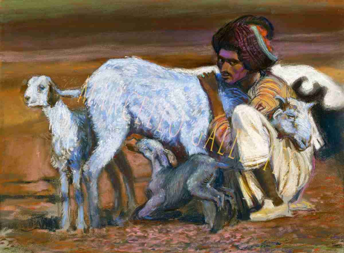 Nomadic Shepherd by Frank G. Marcello_wmk Harsh Life ot a Nomadic Shepherd by Frank G. Marcello, unsigned