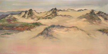29457: Ventura Dunes